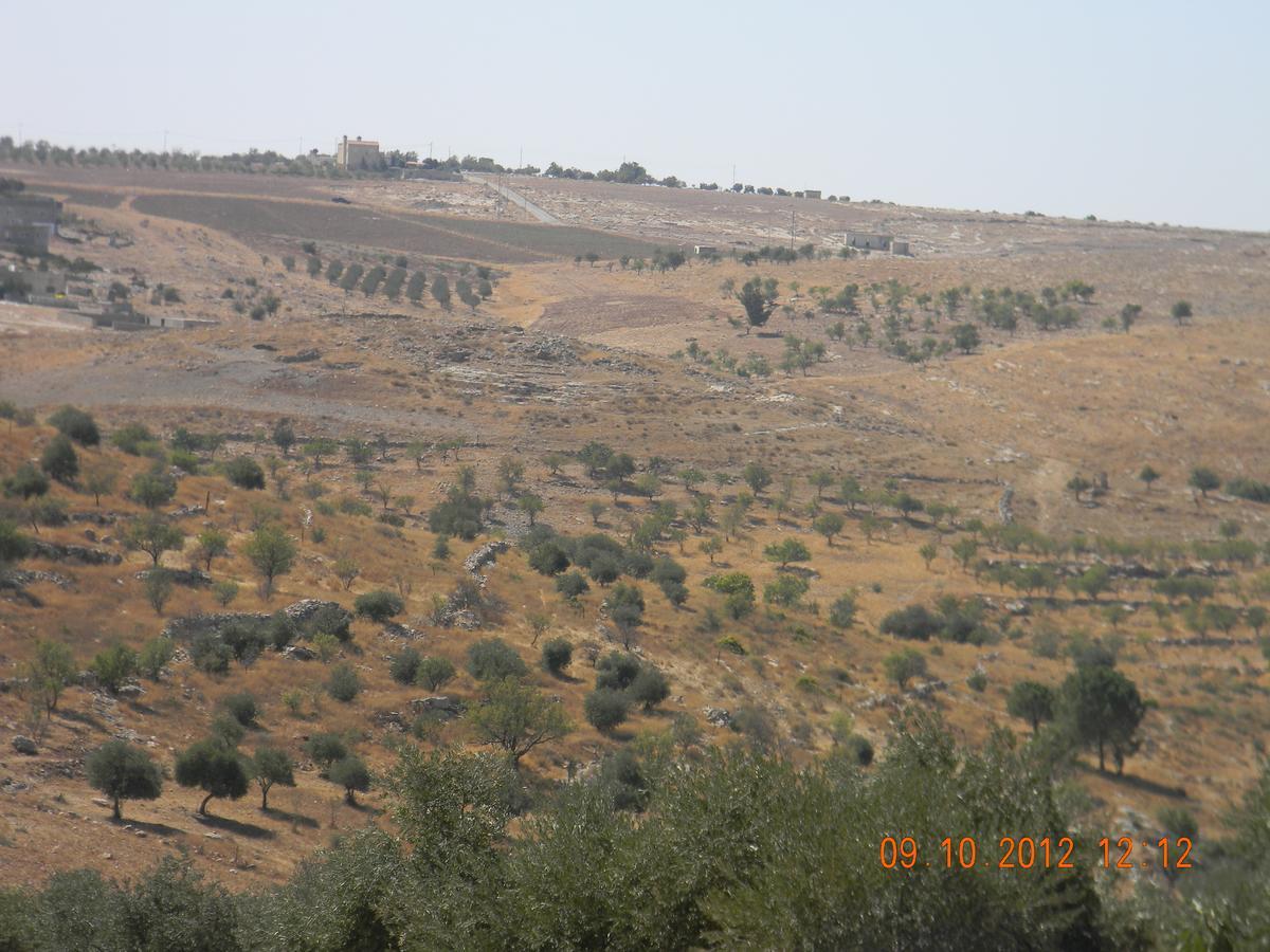 Willa Town Of Mount Nebo Madaba Zewnętrze zdjęcie