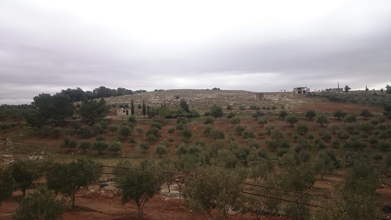 Willa Town Of Mount Nebo Madaba Zewnętrze zdjęcie